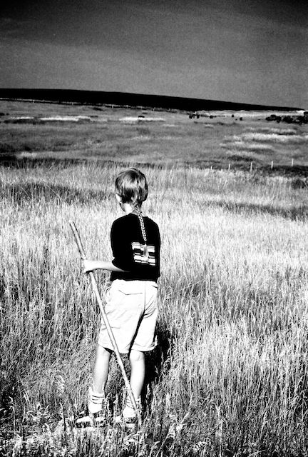 boy with walking stick surveys a grassy landscape